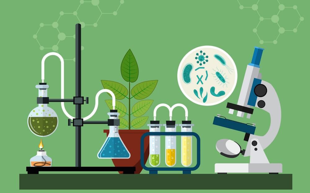 Rodem International School